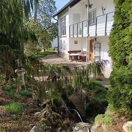 Ferienwohnung Waldblick Bad Dürrheim Exteriér fotografie
