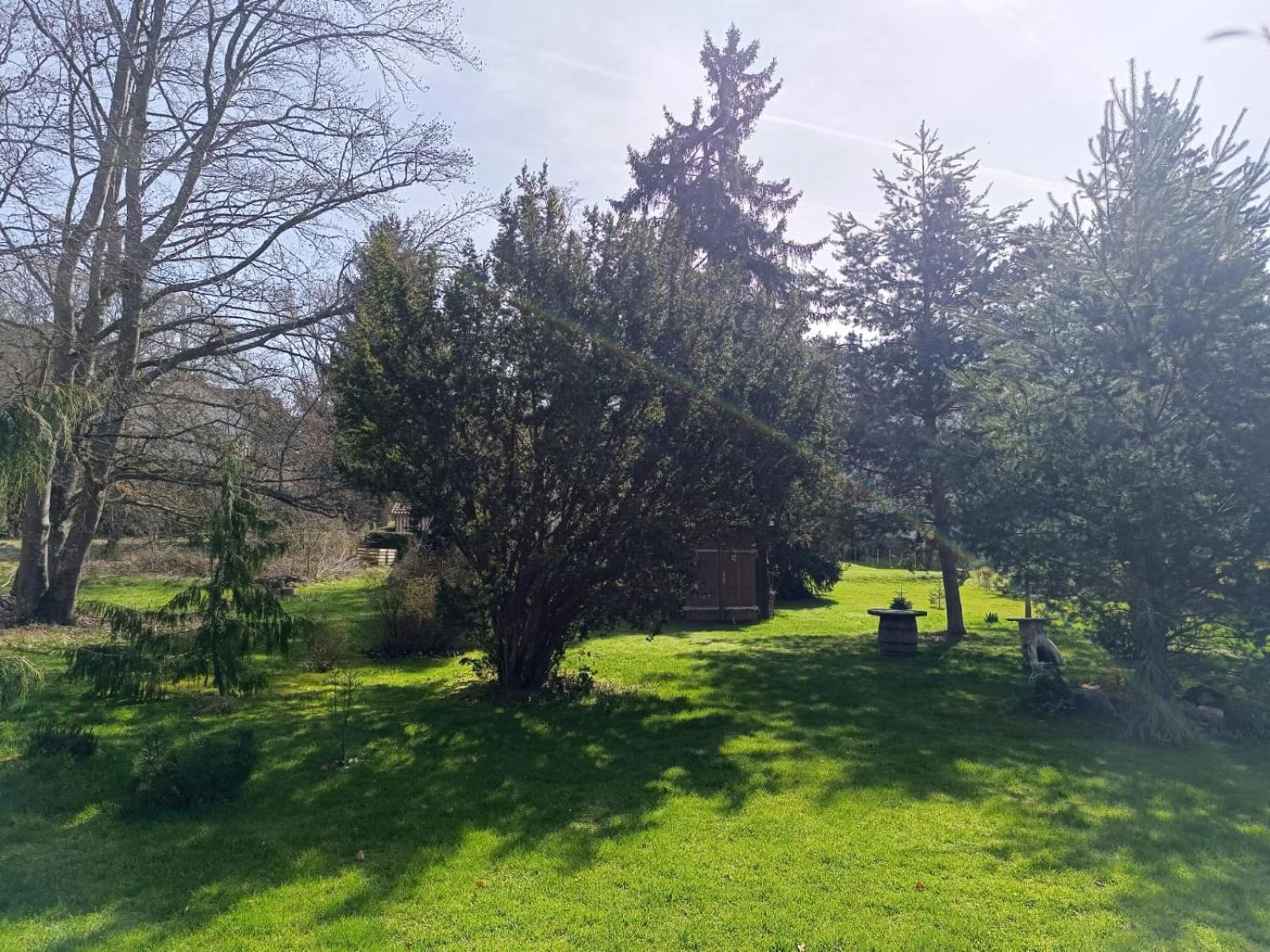 Ferienwohnung Waldblick Bad Dürrheim Exteriér fotografie